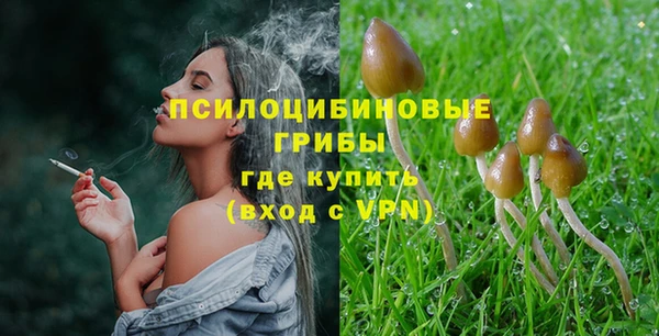 гидропоника Алзамай