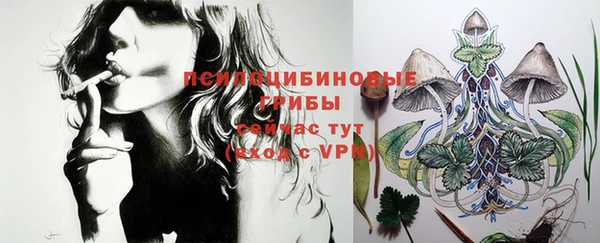 ALPHA-PVP Алексин